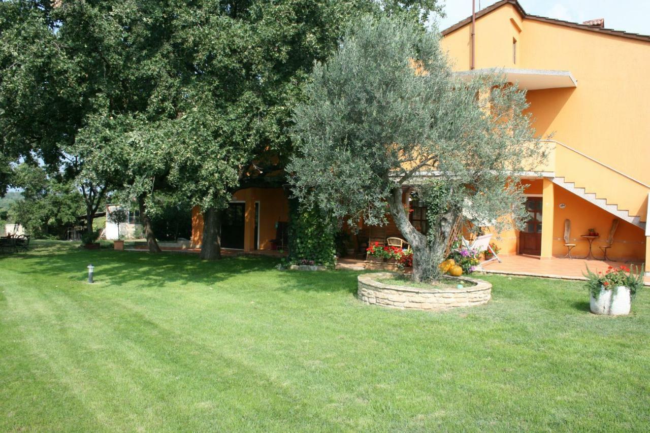 Sossa Umag